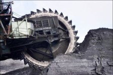 Coal